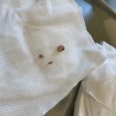 힙티크 이미지