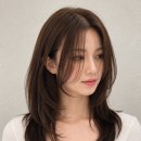 본디헤어