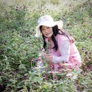 경민농장 이미지