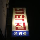 온양넙딱집 네이버블로그