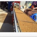 손불농장 이미지