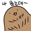 시장악세사리 이미지