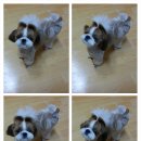 요미하우스