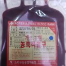 한국동물혈액은행 동물병원 네이버블로그
