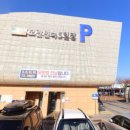 석남고가교 사거리 횡단보도 | 성남모란시장, 모란오일장 5일 장날 및 주차 꿀팁 총정리