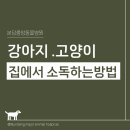 분당중앙 동물병원 이미지