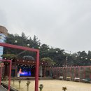대성타이어 | ㅆ5도 구미 출신 girl의 추억의 구미 맛집 탐방기 (대성생막창, 김태주선산곱창, 불타는 토스트, 460...