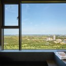 소노펠리체 델피노 이미지