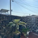 신흥부부민박 이미지