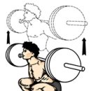 1호피티 이미지