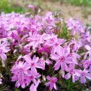 메타버스로 떠나는 서구여행 이미지