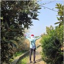 토산2리마을회관 | 제주올레길 4코스(표선~남원)를 걷다 - 1. 표선-토산2리사무소