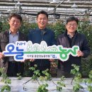 유호종농장 이미지