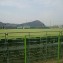 금호강 둔치 축구장 Daum카페