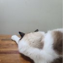 외출 이미지