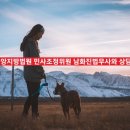 진법무사사무소 이미지
