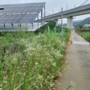 성인태양광발전소 이미지