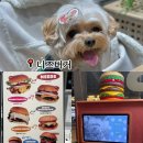 니즈버거청라점 | 청라 애견동반 수제버거 맛집 니즈버거 청라점 내돈내산