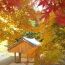 두륜산자락펜션 | 해남 대흥사 숙소 예약 전 알고가면 재밌는 템플스테이 역사와 근처 추천 숙소 안내 가이드
