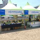 지동산촌마을 이미지