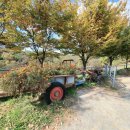 칠곡양떼목장 이미지