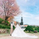 춘천한마음교회 | 순복음춘천교회 결혼예배 본식스냅 후기 | 춘천본식스냅추천 | 춘천교회결혼식 | 결혼예배본식스냅추천...