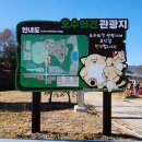 누리 | 애견동반 오수반려누리 무인카페 후기