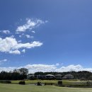 호주 골프 / 골드코스트 골프 / 링크스 호프 아일랜드 골프(Links hope island golf) / 신혼여행...