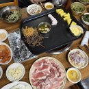 5117 | 대전 유성 장대동 로컬 돼지고기 맛집 '필봉산흑돼지돌구이' 고기집