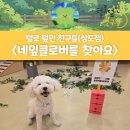 털로덮인친구들 서울상도점 | 노량진 애견 유치원 후기 / 강아지 유치원 프로그램...강아지 유치원 추천 (털로덮인친구들 상도점)