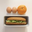 편안한김약국 | [주간일기] 예비 26학번의 2025 독서 결산과 12월 일상