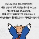원일종합자동차 이미지