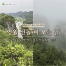 영월 선돌 비 오는 날 방문 후기, 안개가 더한 절경