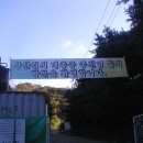 대종현수막