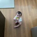 아이팜 안전문 강아지 고양이 아기 안전가드 거실 주방 설치 후기