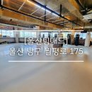 울산팀매드 이미지