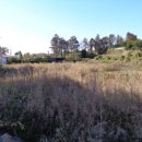 강정동-58 이미지