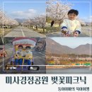 Show Dog | 미사경정공원벚꽃축제후기/실시간후기/주차요금/벚꽃...치킨/아이랑/서울근교/미사벚꽃축제/경정공원...