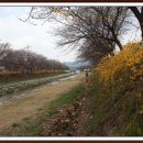 동아리자체활동 이미지