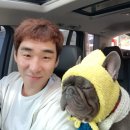 데이지패션