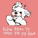 펫해윰 이미지