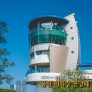태화강 나룻배 | 울산 태화강 전망대 십리대숲 풍경 감상하기