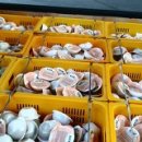 대전가톨릭농수산물지원센터 이미지