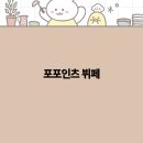 포포인츠
