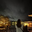오봉산밀면 | [경북여행 2탄] 대구 잠시 들렀다가, 경주 힐링 여행