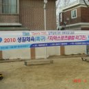 도신초등학교 이미지