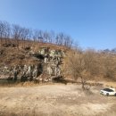 초평밤나무 이미지