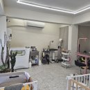 331멍발소 네이버블로그
