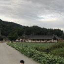 서하식육식당 이미지