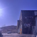 영희네 | 포천 촌캉스 추천? 영희네집 바베큐 숙소 솔직후기